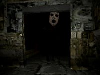 Slide in the Woods Mystery Adventure