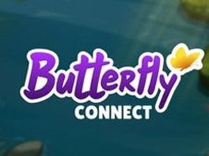 Butterfly Matching Puzzle