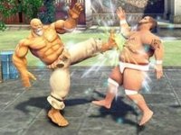 Sumo Challenge Online: Fun Wrestling Game
