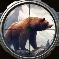 Wild Adventure 3D Simulation