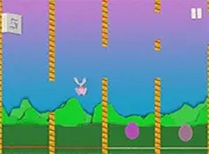 Hop & Collect Puzzle