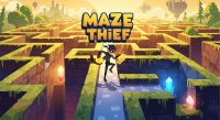 Maze Stealth Puzzle